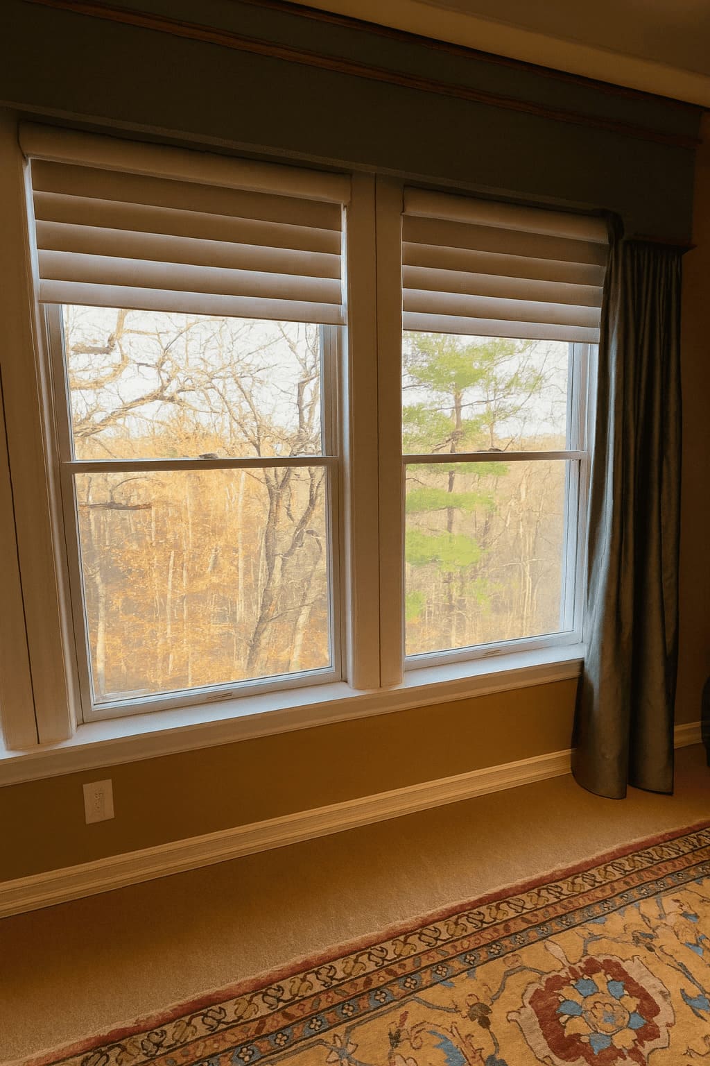 Alta Motorized Sheer Shades